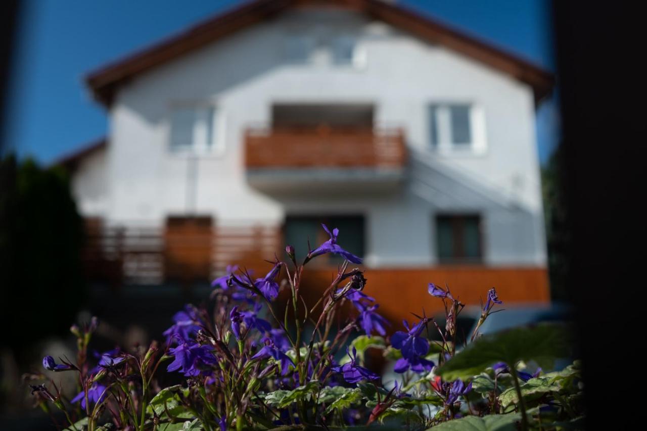 Apartamenty Karkonosze Gory Izerskie Piechowice  Exterior foto